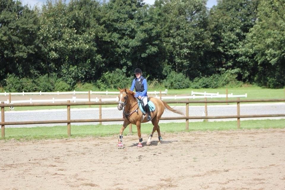 Anden særlig race Calibra - My one and only <3 billede 14