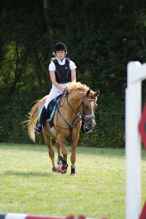 Anden særlig race Calibra - My one and only <3 - MLE foto <3 billede 11