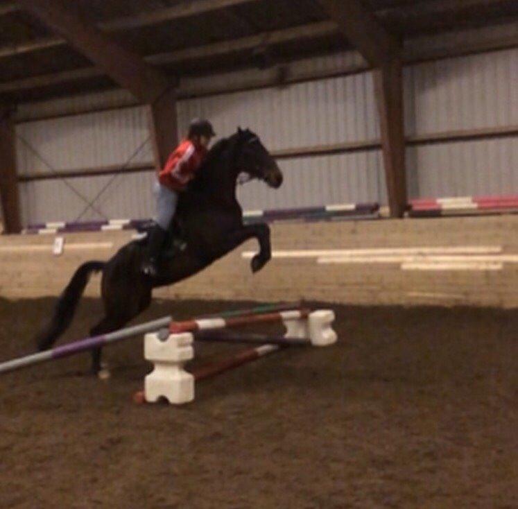 Traver Super Susser billede 8