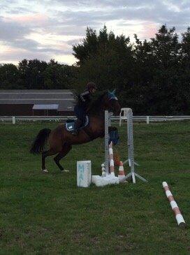 Traver Super Susser billede 21