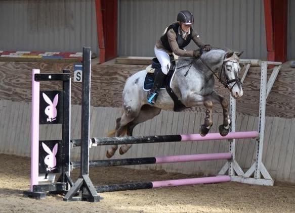 Anden særlig race Victor Gammelby - Victor springer LB* med sin springpart Camilla :) billede 8