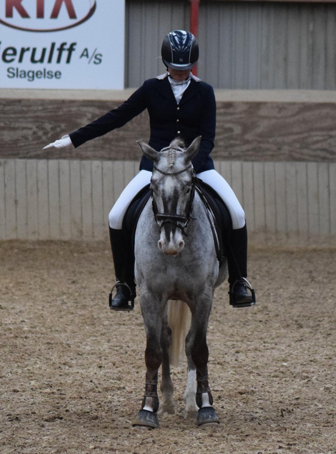 Anden særlig race Victor Gammelby - Til stævne billede 11