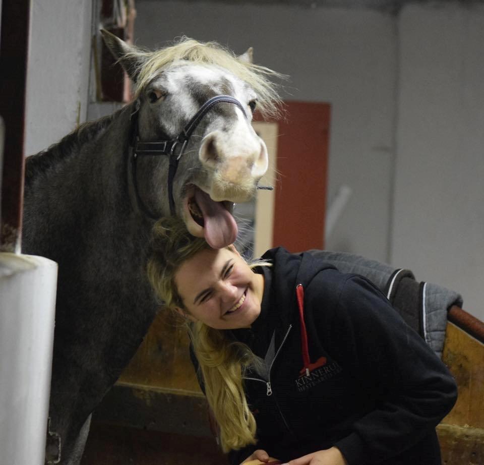 Anden særlig race Victor Gammelby - Billedet siger lidt om hvor fjollet vores søde Victor er billede 10