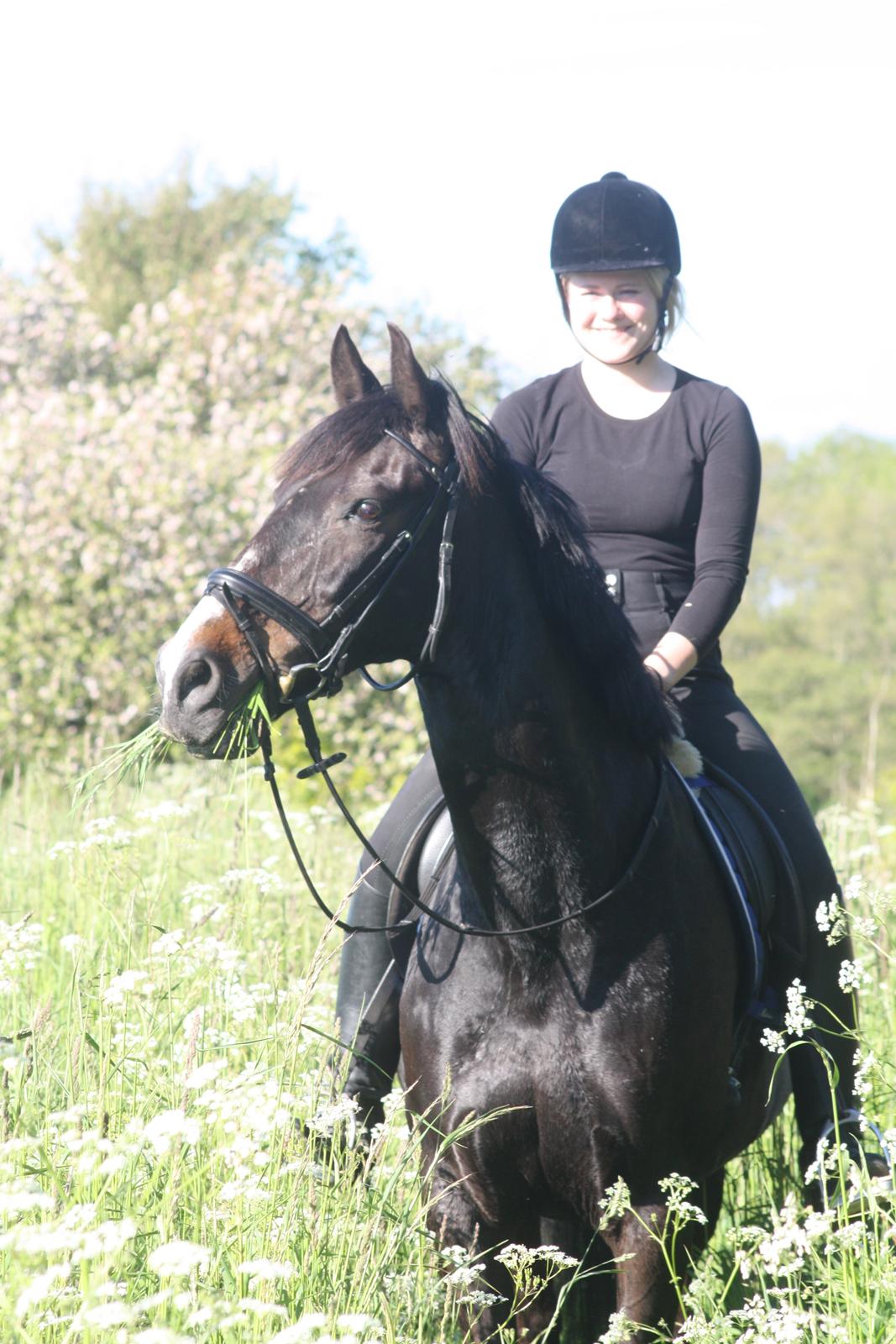 Anden særlig race SANTANA - 2015 billede 1