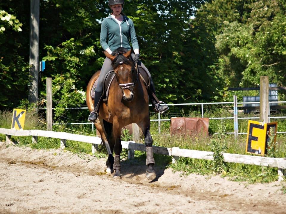 Oldenborg Paddington Skrold billede 4