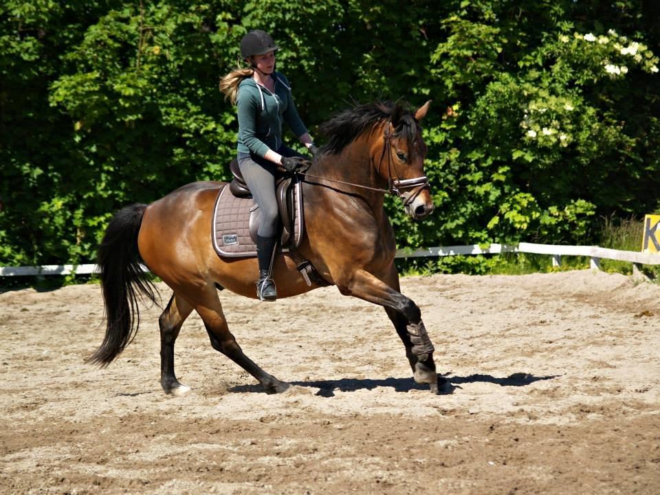 Oldenborg Paddington Skrold billede 13