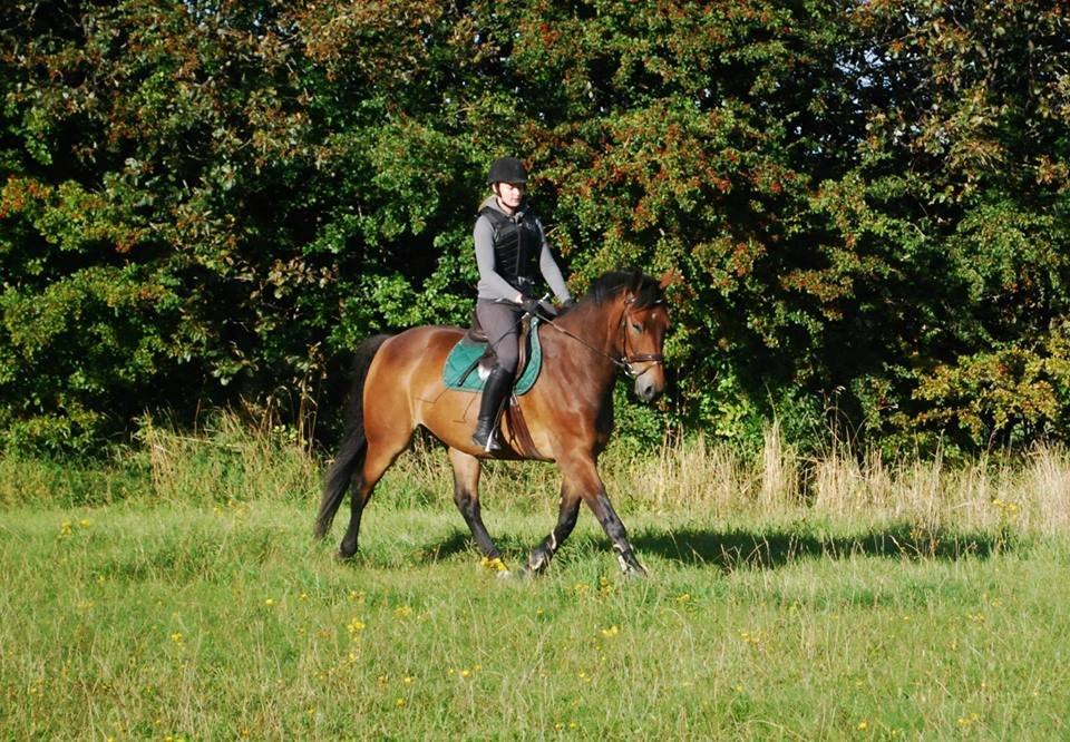 Oldenborg Paddington Skrold billede 14
