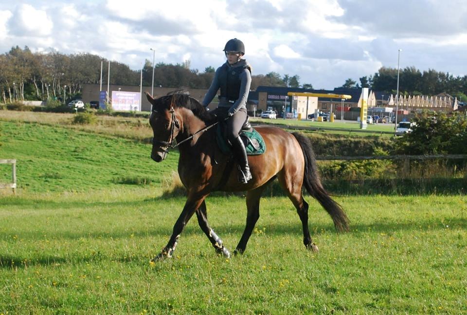 Oldenborg Paddington Skrold billede 16