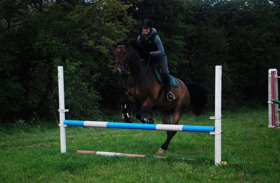 Oldenborg Paddington Skrold billede 8
