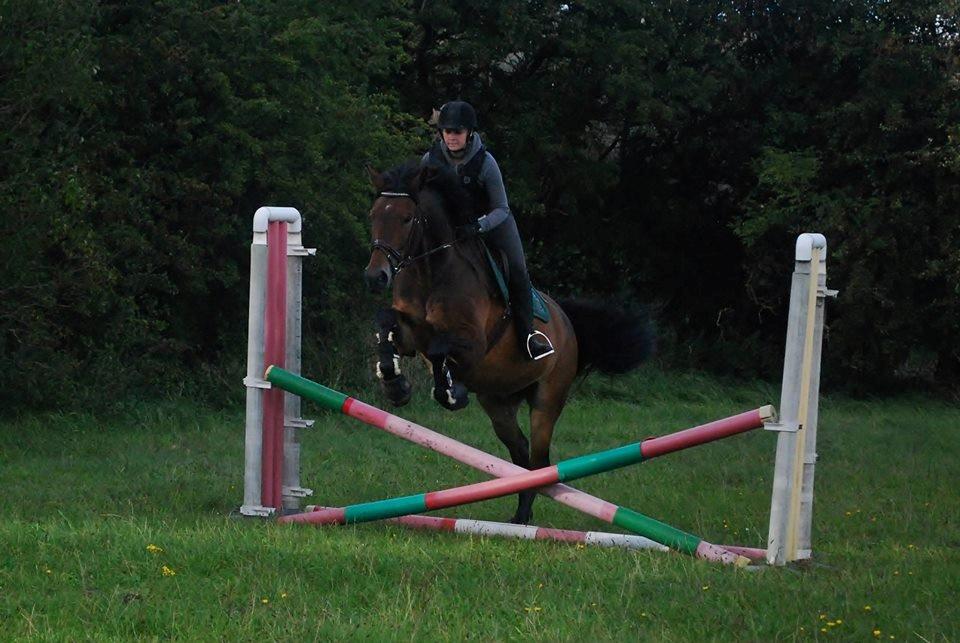 Oldenborg Paddington Skrold billede 3