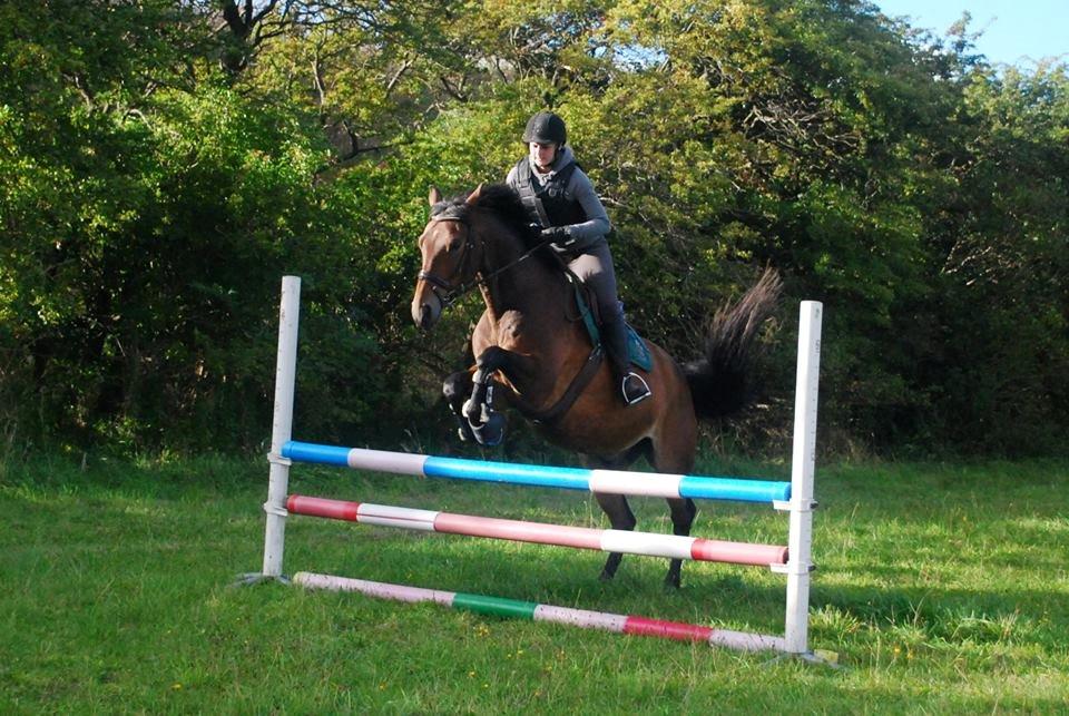 Oldenborg Paddington Skrold - 1 meter i kombination billede 17