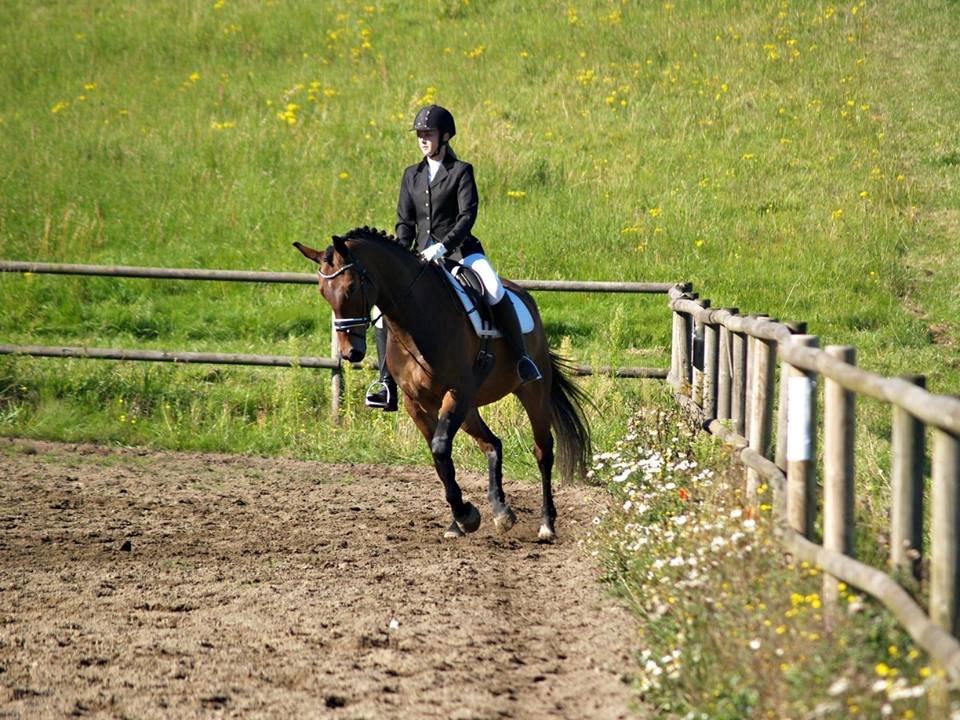 Oldenborg Paddington Skrold billede 12