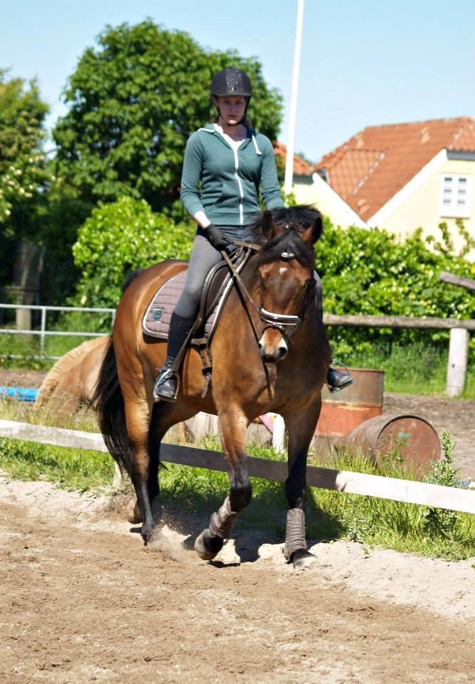 Oldenborg Paddington Skrold billede 6