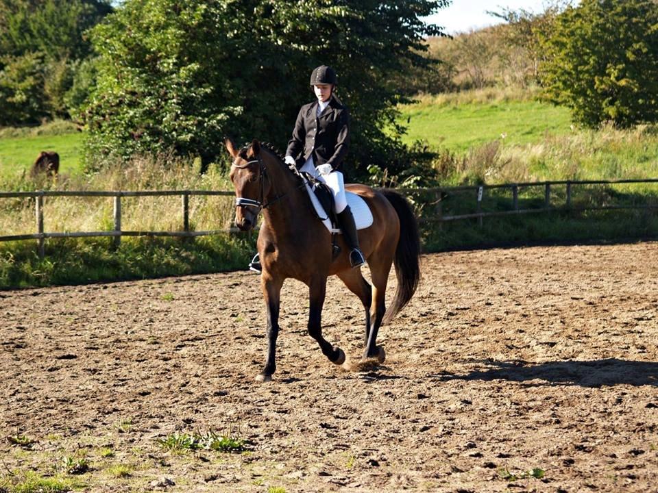 Oldenborg Paddington Skrold billede 18