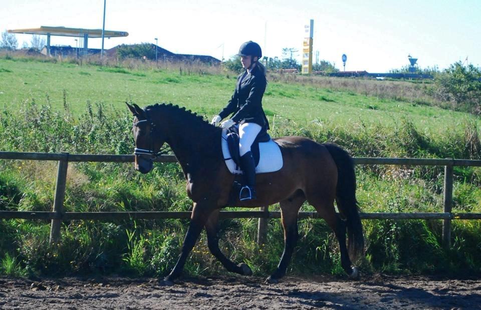 Oldenborg Paddington Skrold billede 10