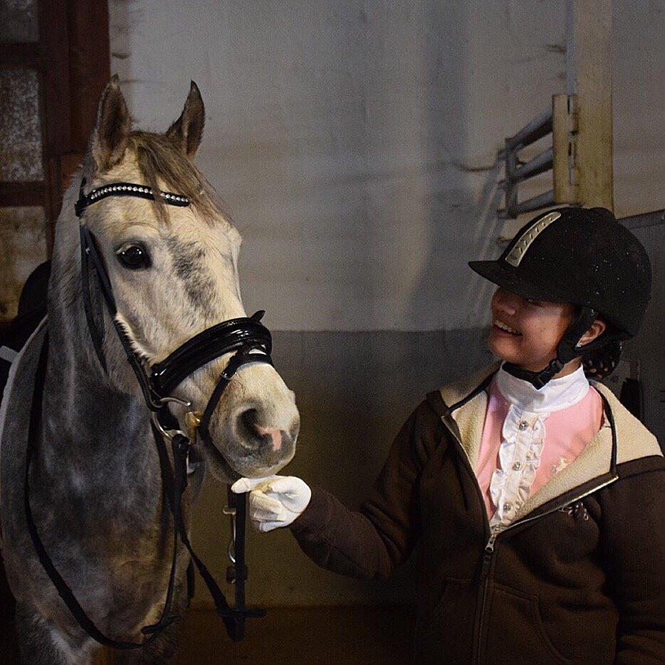 Anden særlig race Bækkeskovens Hurricane billede 1