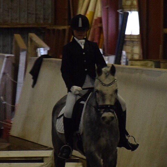 Anden særlig race Bækkeskovens Hurricane billede 3