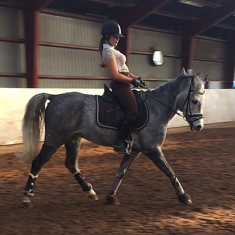 Anden særlig race Bækkeskovens Hurricane billede 6