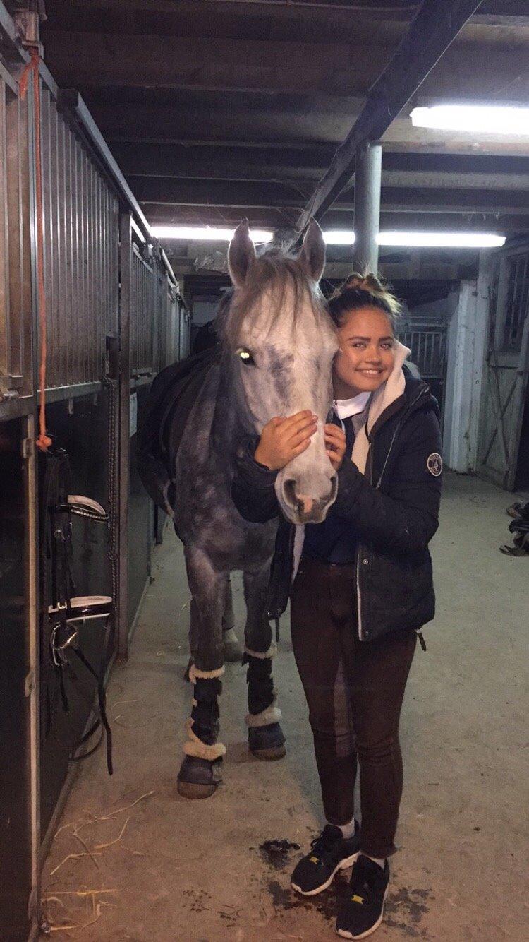 Anden særlig race Bækkeskovens Hurricane billede 11