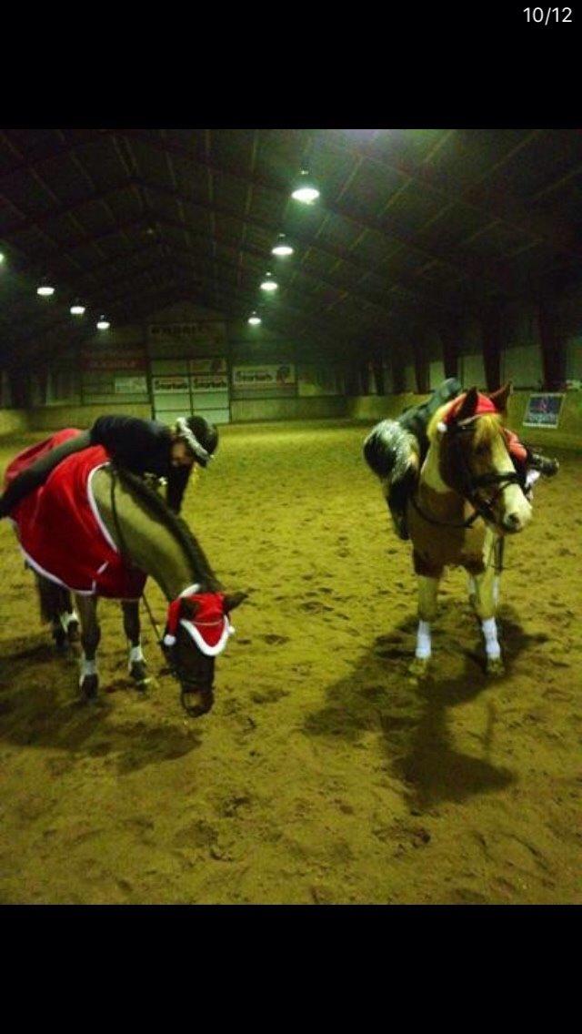 New Forest My little pony topper  billede 17