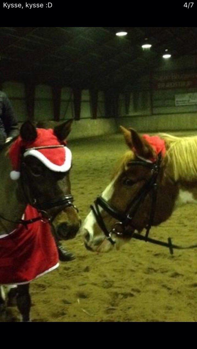 New Forest My little pony topper  billede 15