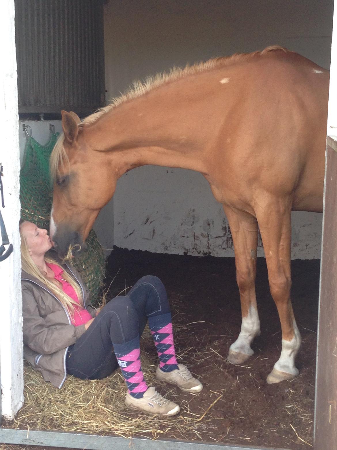 Anden særlig race Nikky billede 7