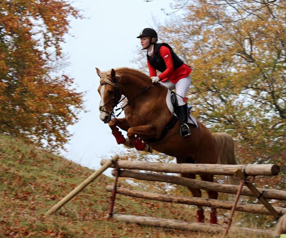 Anden særlig race Nikky billede 4
