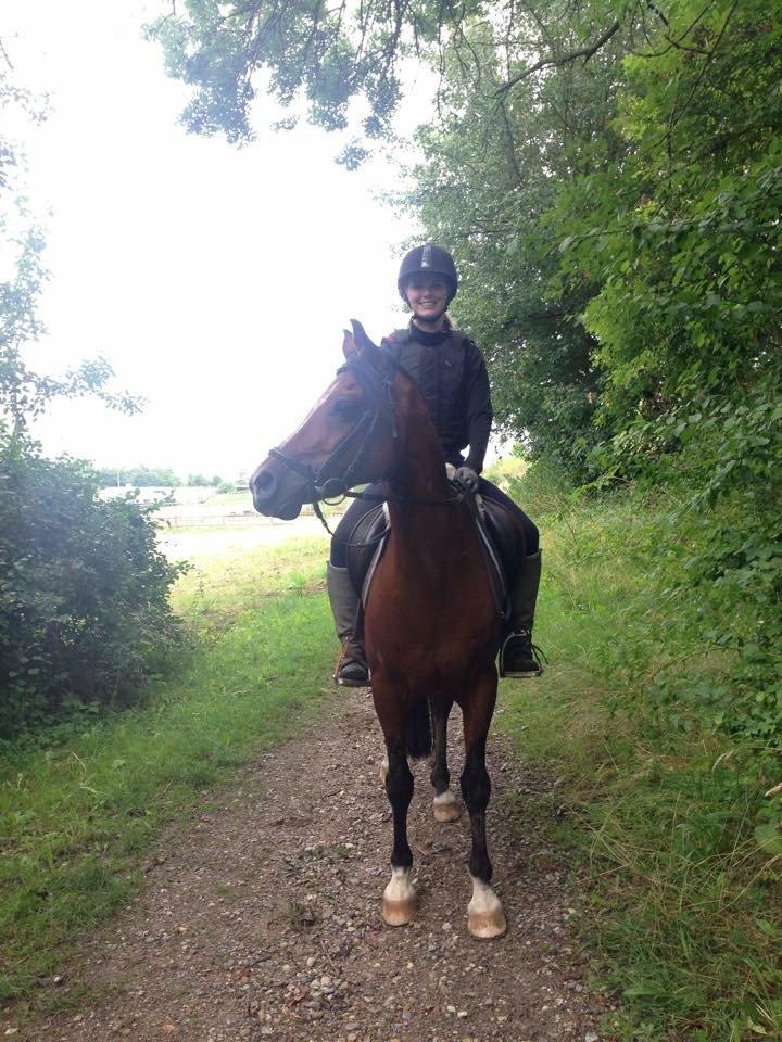 Anden særlig race Premiat (Prop) billede 10