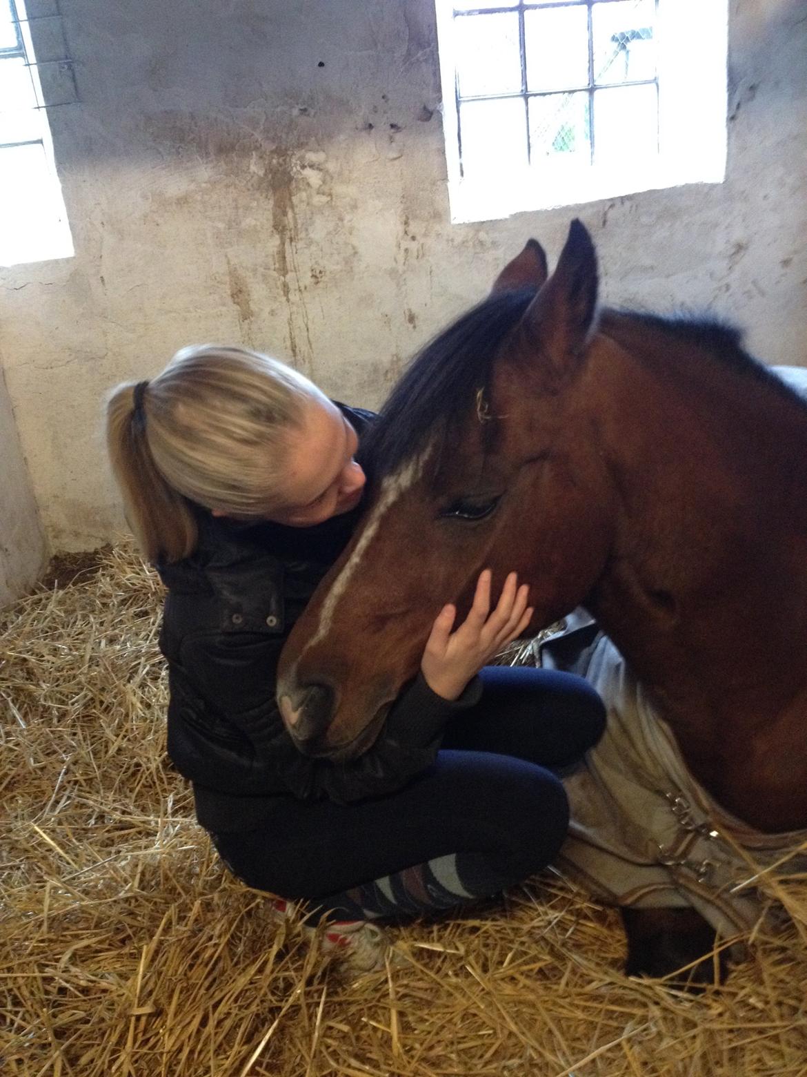 Anden særlig race Premiat (Prop) billede 12