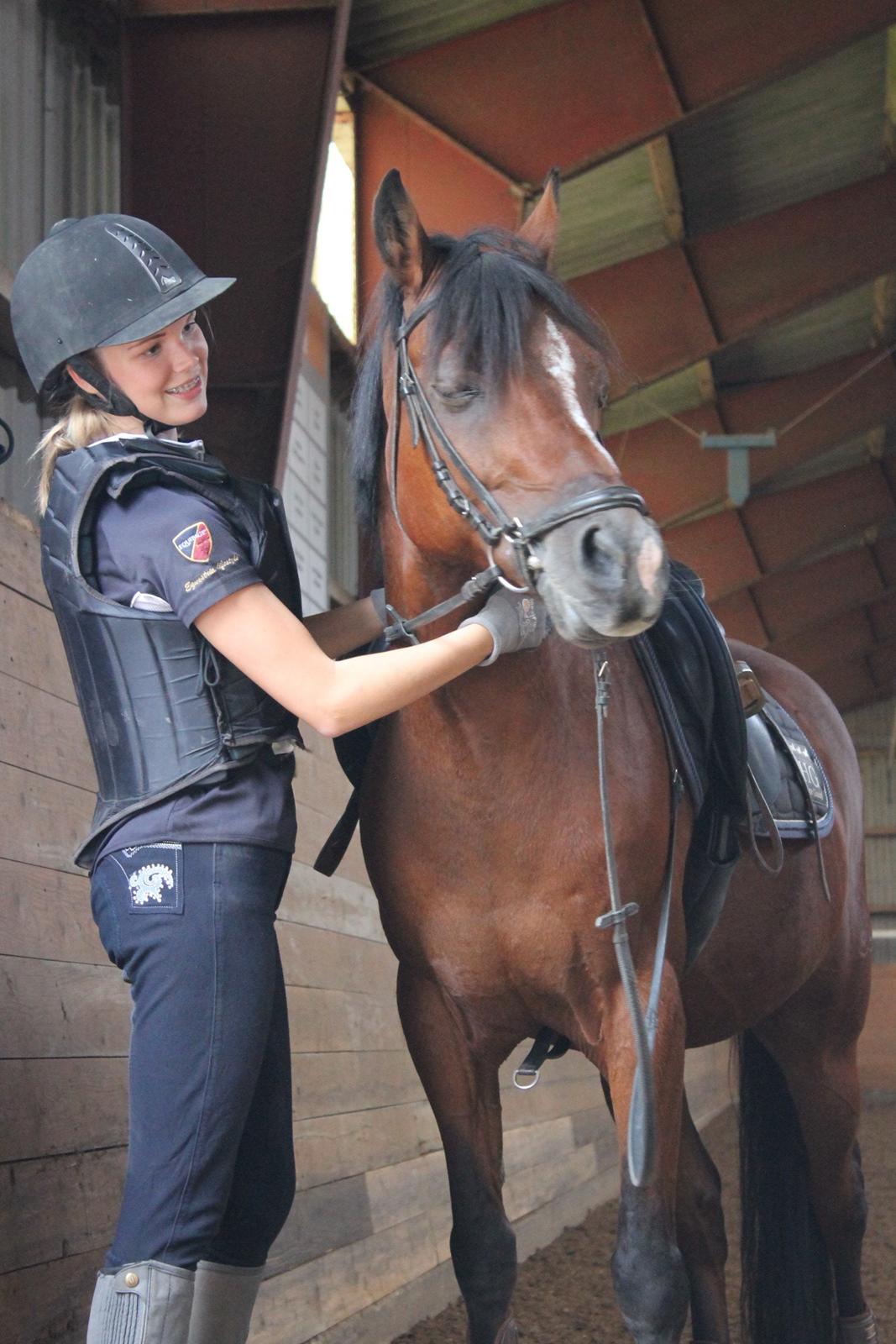 Anden særlig race Premiat (Prop) billede 14