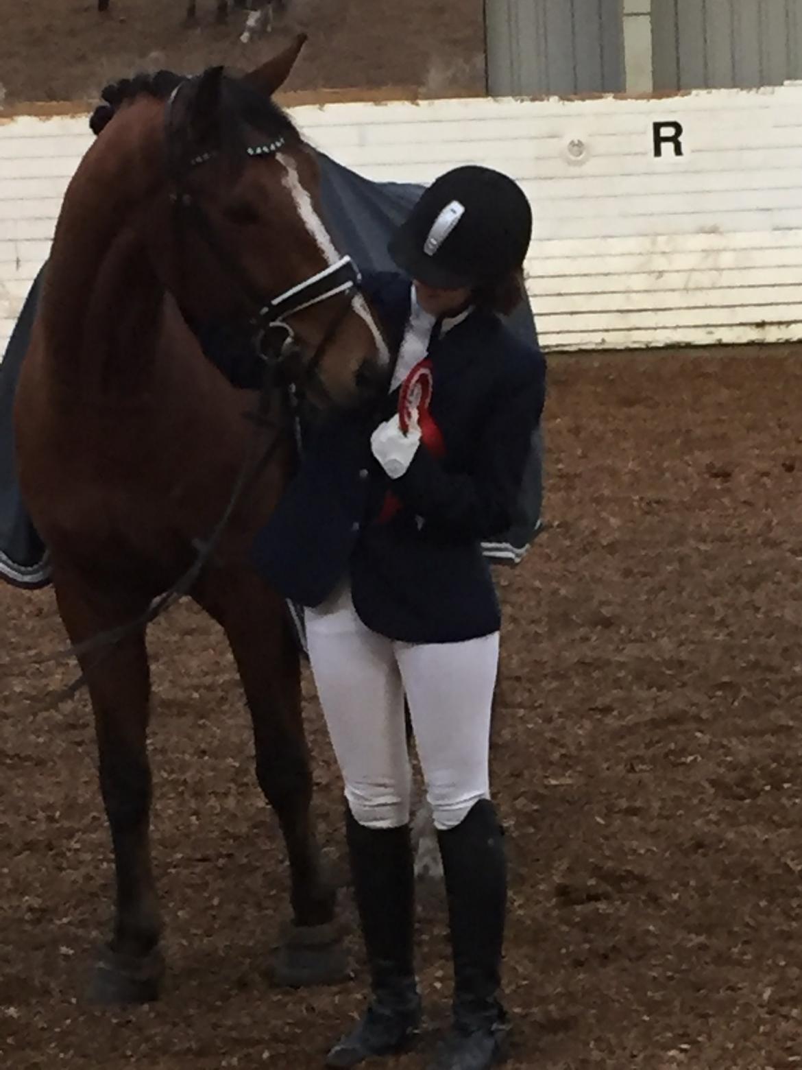 Dansk Varmblod Westergaardens Lucky Star - 67,2% i LC1. 4. gang vi rider stævne billede 14