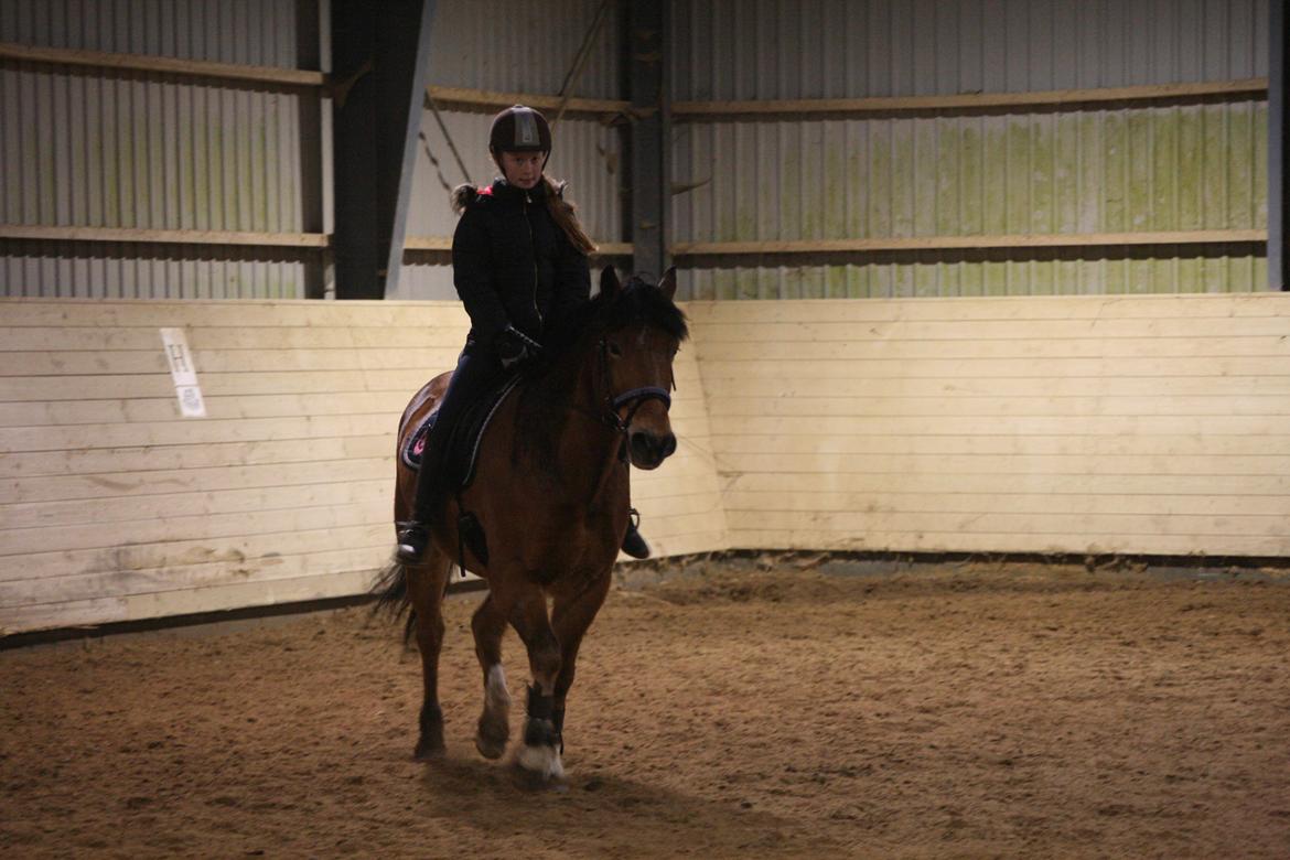 Connemara Trolderik billede 2