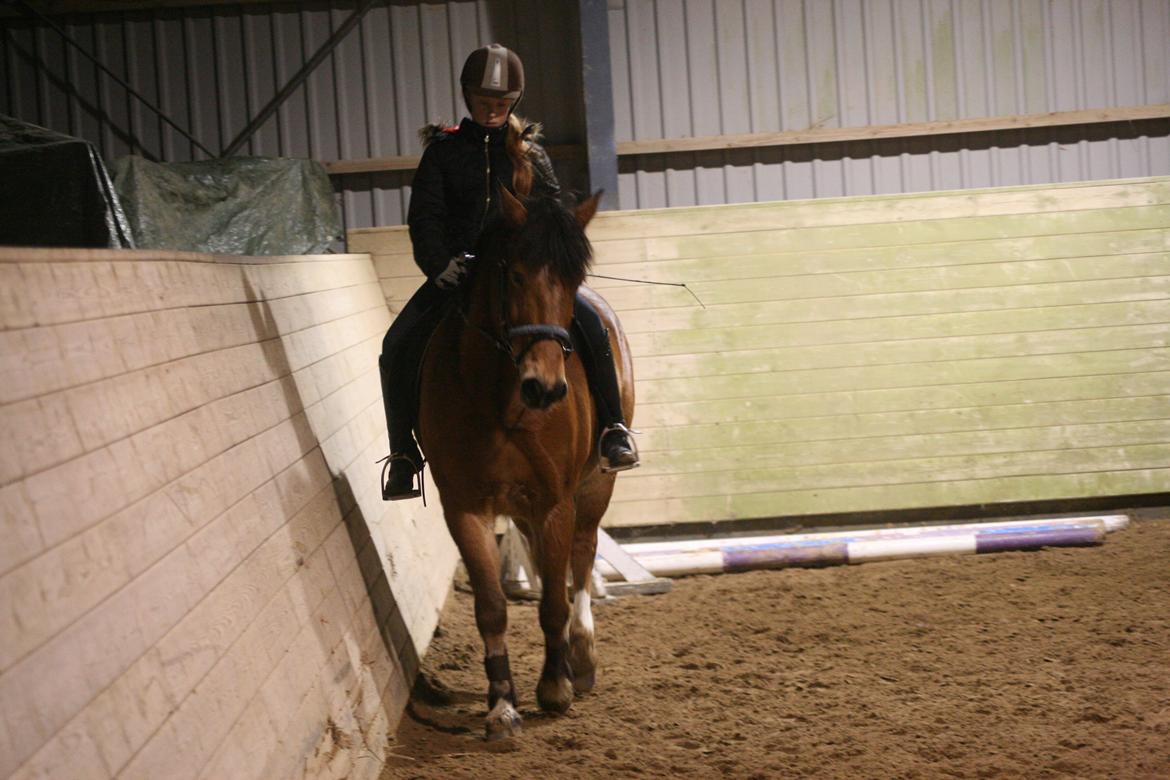 Connemara Trolderik billede 10