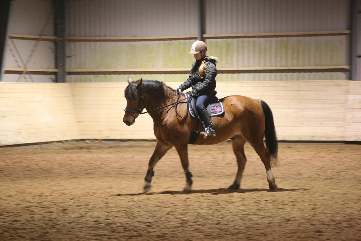 Connemara Trolderik billede 9