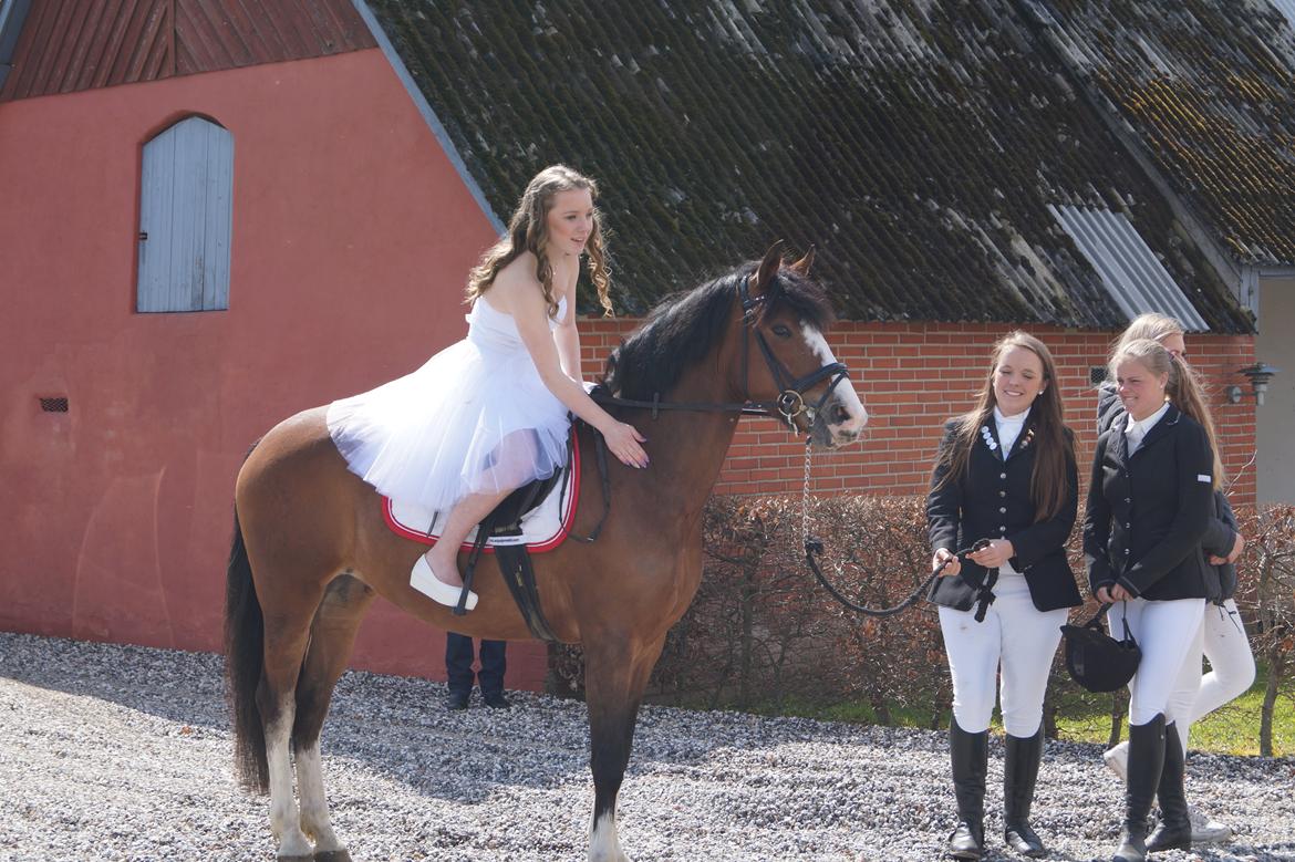 DSP Fjordglimt's afrodite - Konfirmation d. 1 Maj  billede 3