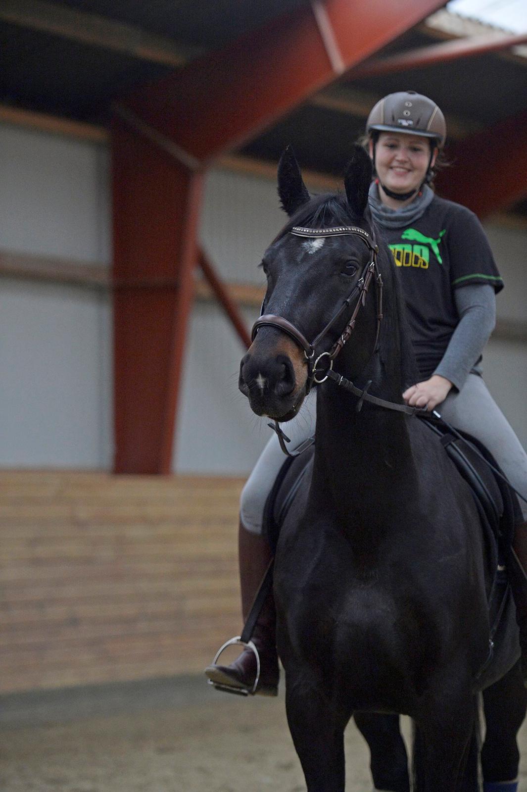 Oldenborg Santos af birkelund billede 12