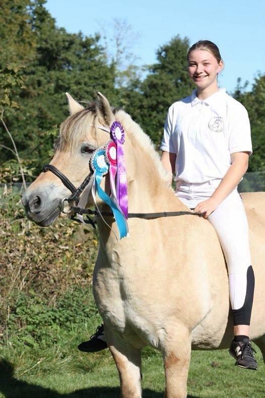 Fjordhest Lærke Rud - Minitræf ved Fynske Fjordheste 2015 billede 6