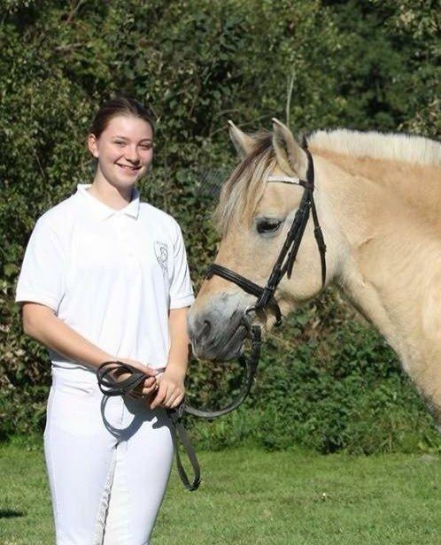 Fjordhest Lærke Rud - Minitræf ved Fynske Fjordheste 2015 billede 4