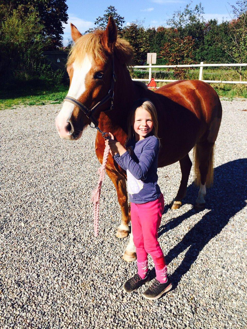 DSP Prinsesse kassandra billede 1