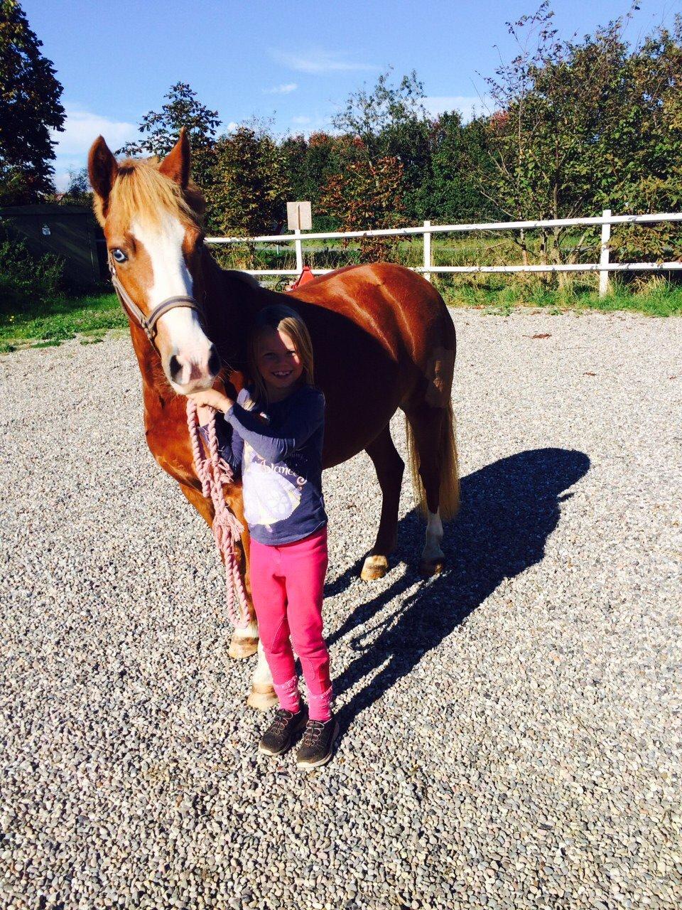 DSP Prinsesse kassandra billede 2