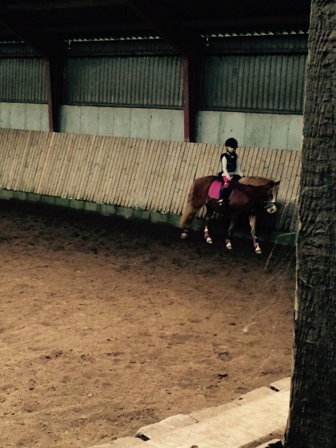 DSP Prinsesse kassandra billede 3