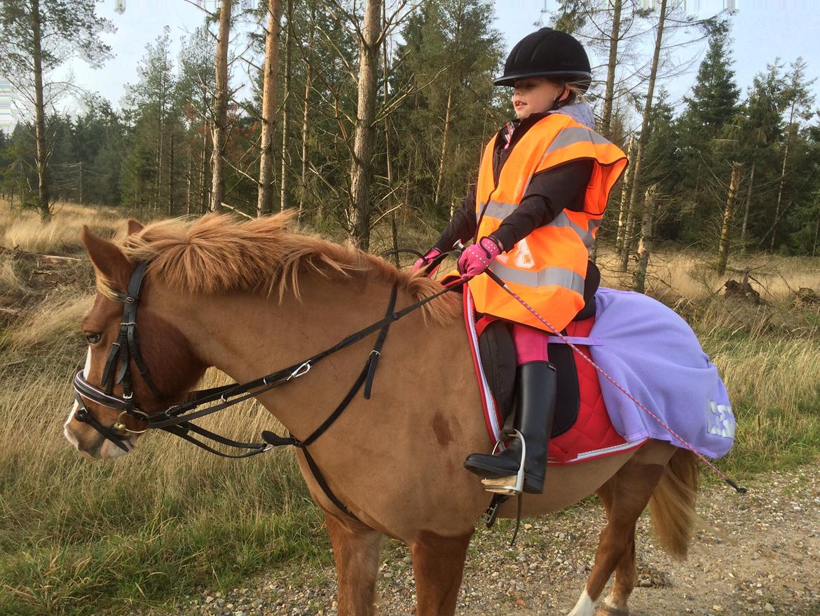 DSP Prinsesse kassandra billede 4