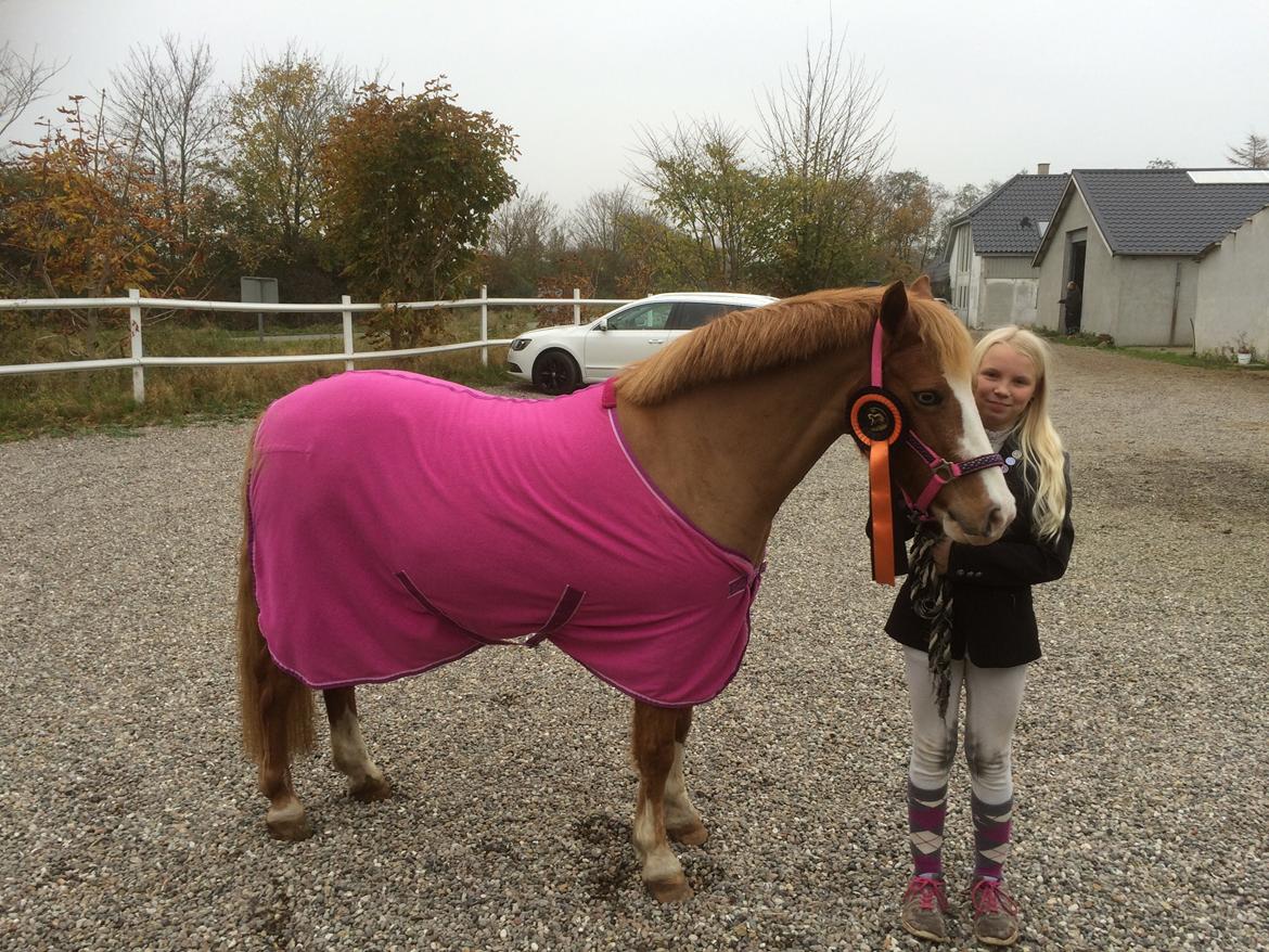 DSP Prinsesse kassandra billede 6