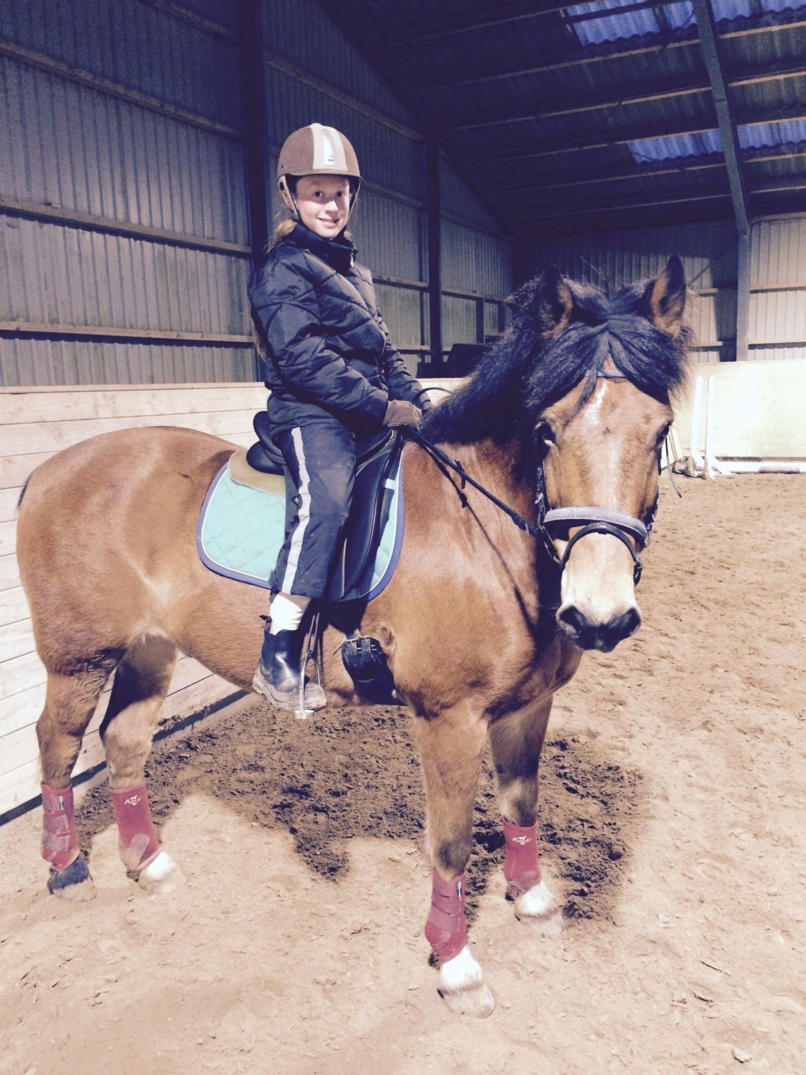 Connemara Trolderik billede 11