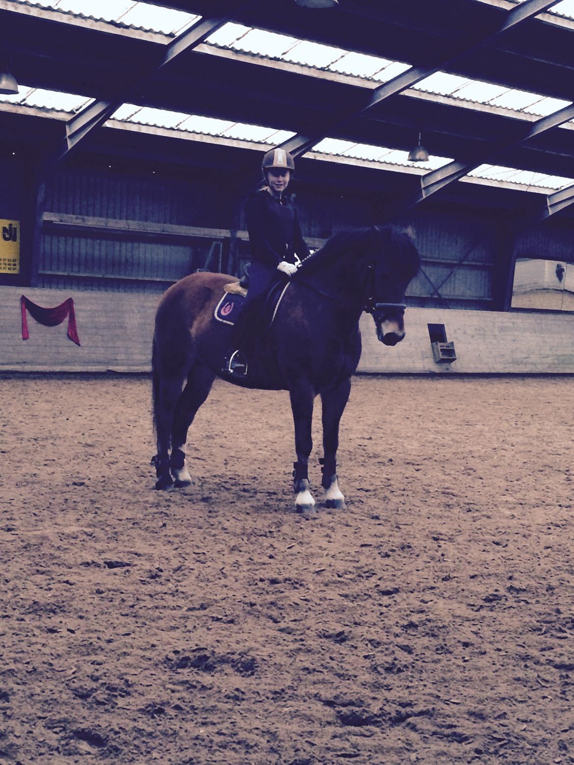 Connemara Trolderik billede 12