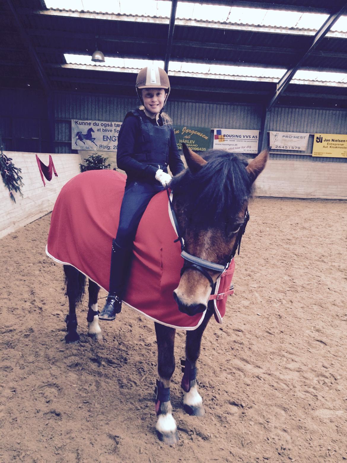 Connemara Trolderik billede 13