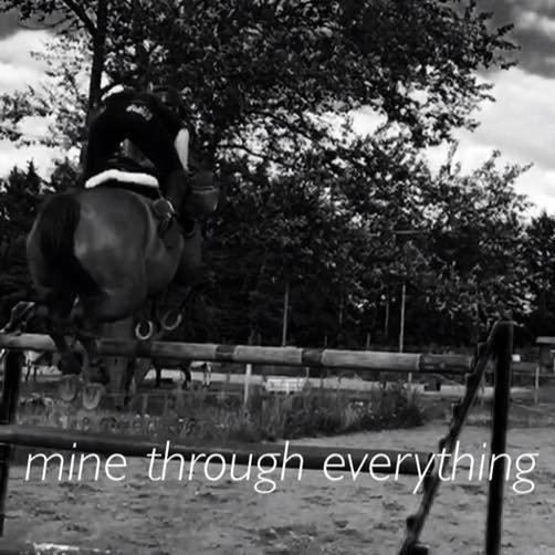 Anden særlig race EHC's Lamirz - 140 cm, i gymnastik spring.. billede 5