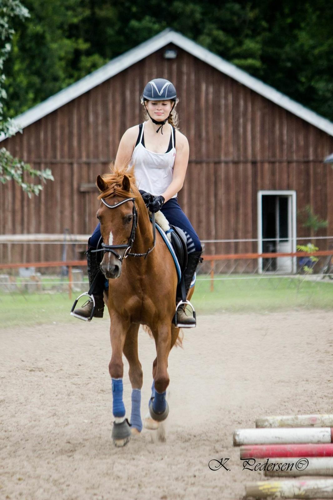 Anden særlig race EHC's Lamirz - Lidt skæv... billede 8