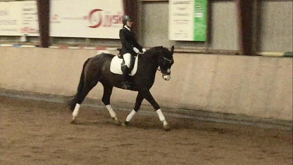 Tysk Varmblod A'kayzia - Lem rideklub 5/12-2015 - 66,296% - 1. plads  billede 4