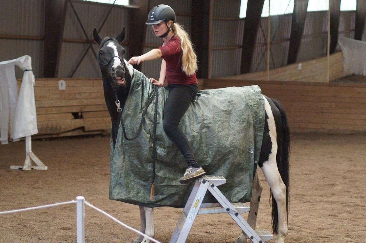 Paint Eskelunds Helga <3  - Min bedre halv del! <3  billede 21